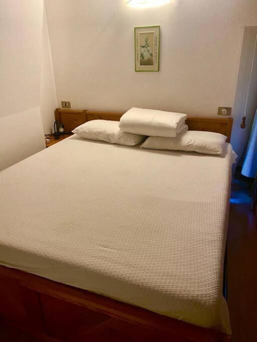 Appartamento Vicino A Cortina D'Ampezzo Con Garage 피에베디카도레 외부 사진